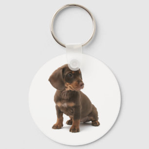 Dachshund Puppy Keychain