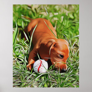 Dachshund Puppy Laying In Grass With Ball Xmas Poster