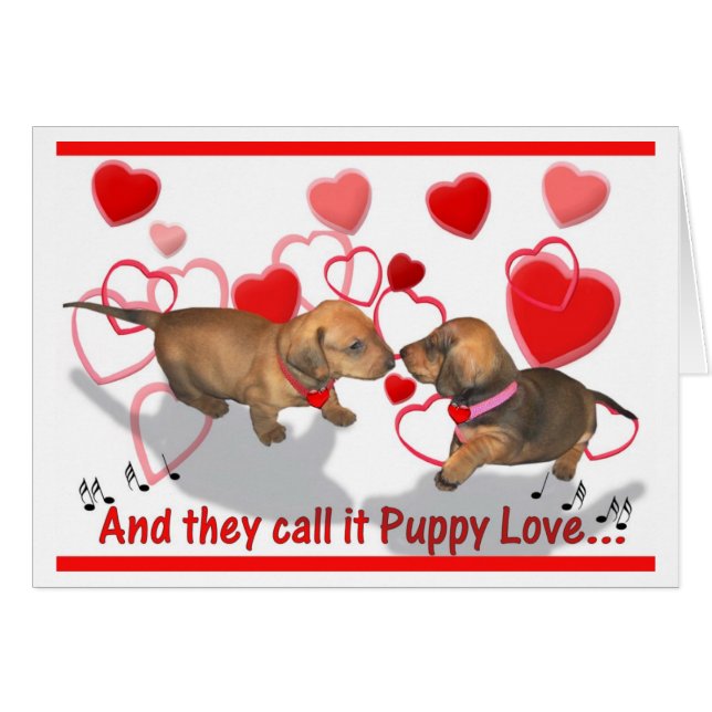 Dachshund Puppy Love (Front Horizontal)