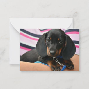 Dachshund Puppy Note Card  - Flat Note Card