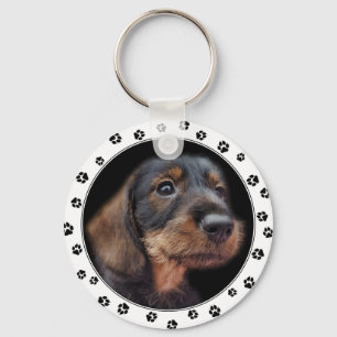 Dachshund Puppy Photo Keychain
