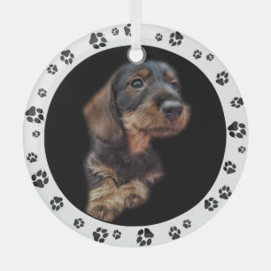 Dachshund Puppy Photo Paw Prints Glass Ornament