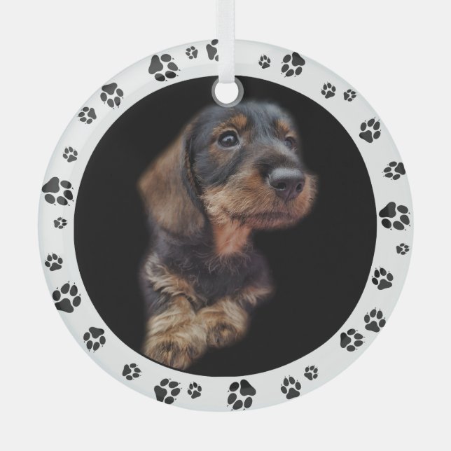 Dachshund Puppy Photo Paw Prints Glass Ornament (Front)