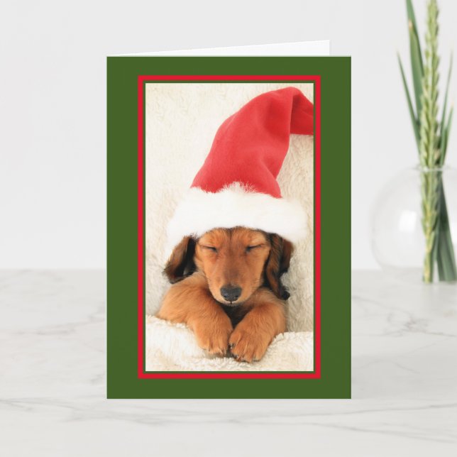 DACHSHUND PUPPY SOMMETTRE CARTE DE NOËL (Devant)