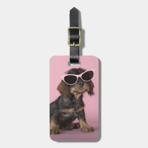 Dachshund Puppy Wearing Sunglasses Luggage Tag