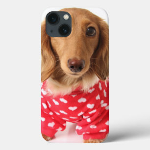 Dachshund Puppy Wearing Valentine's Outfit iPhone 13 Case