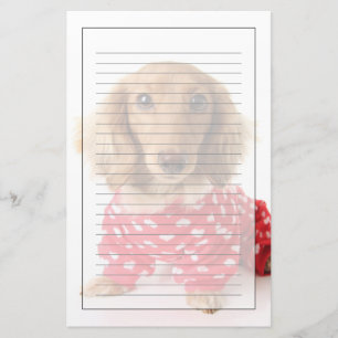 Dachshund Puppy Wearing Valentine's Outfit Stationery