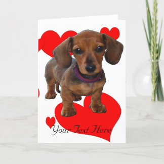 DACHSHUND Puppy with Hearts Card