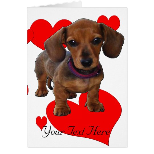 DACHSHUND Puppy with Hearts Card