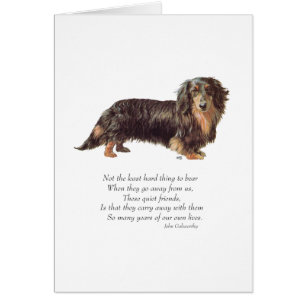 Dachshund Rainbow Bridge