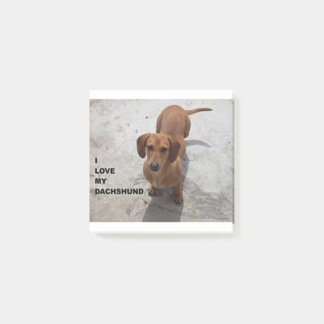 dachshund red full love w pic post-it notes (Front)