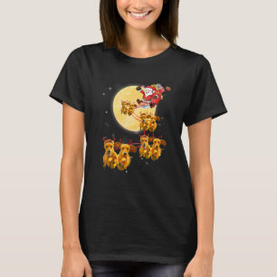 Dachshund Reindeer Santa Sleigh Christmas Dog T-Shirt