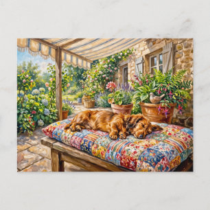 Dachshund Resting on Patchwork Garden Bench Postcard