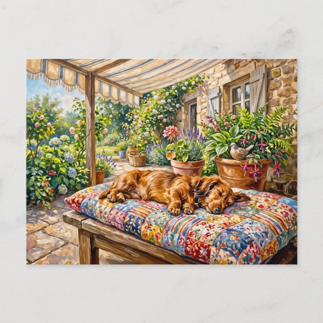 Dachshund Resting on Patchwork Garden Bench Postcard (Front)