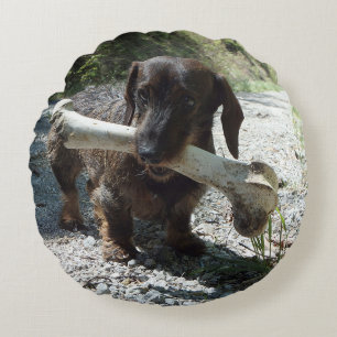 Dachshund Round Pillow