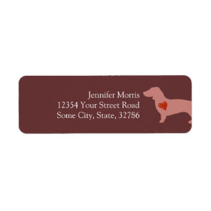 Dachshund Saint-Valentin