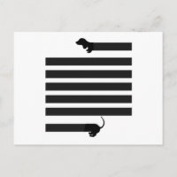 dachshund sausage dog