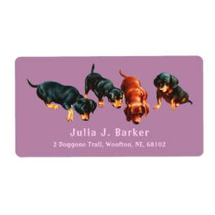 Dachshund Sausage Dog Wiener Puppies Mauve Pink