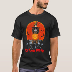 Dachshund Sausage Dog With A Pumpkin Lamp T-Shirt