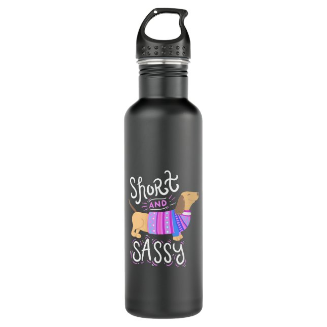 Dachshund Short And Sassy 710 Ml Water Bottle (Front)