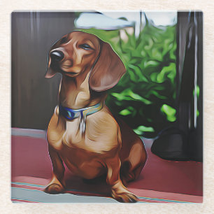 Dachshund Sits On Porch Of Country House Birthday  Glass Coaster