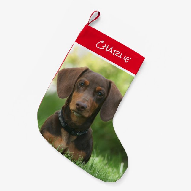 Dachshund Sitting in Grass Small Christmas Stocking (Front (Hanging))