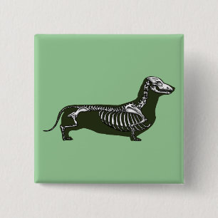 dachshund skeleton 2 inch square button