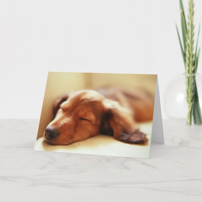 Dachshund sleeping card (Front)