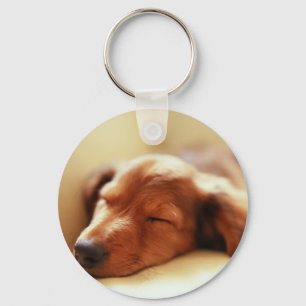 Dachshund sleeping keychain
