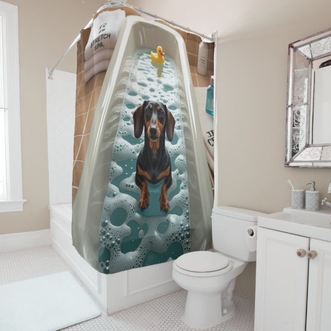 Dachshund Sloppy Sleepy Cute Funny  (In Situ)