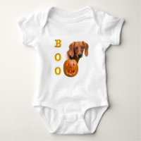 Dachshund (smooth) Boo