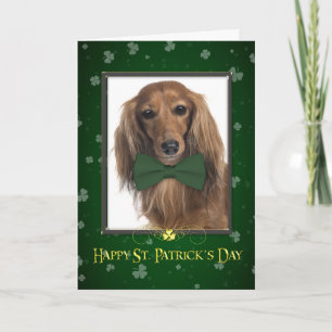 Dachshund St. Patrick's Day Card