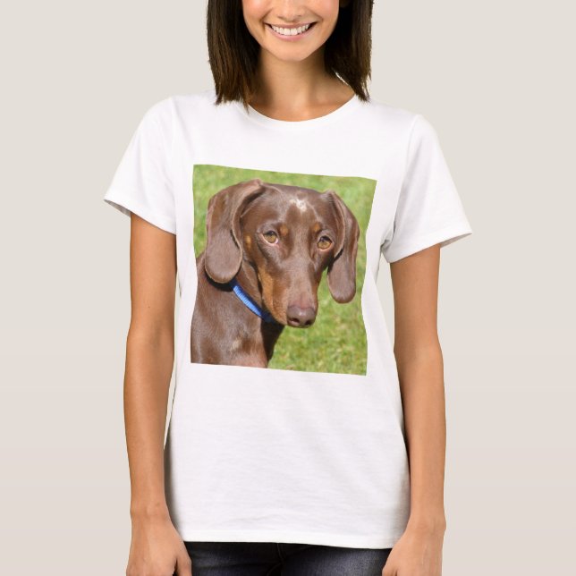 Dachshund T-Shirt (Front)