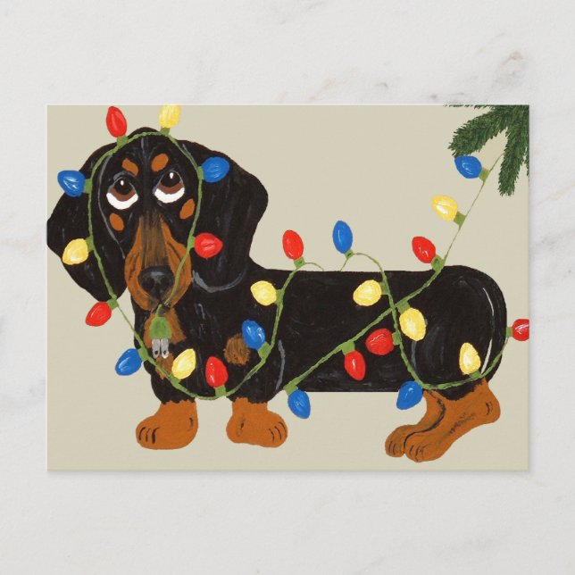 Dachshund Tangled In Christmas Lights Blk/Tan Holiday Postcard (Front)