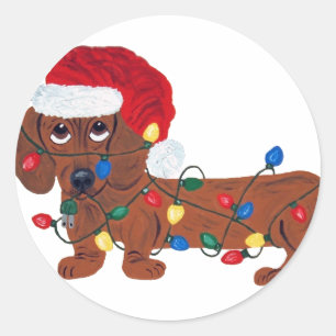 Dachshund Tangled In Christmas Lights (Red) Classic Round Sticker