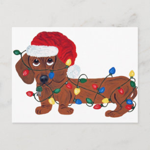 Dachshund Tangled In Christmas Lights (Red) Holiday Postcard