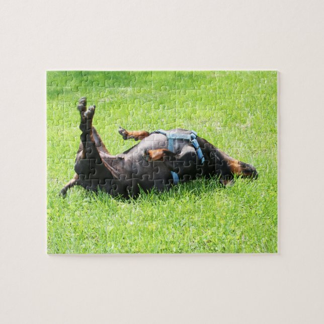Dachshund - TGIF Jigsaw Puzzle (Horizontal)