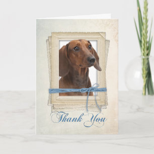 Dachshund Thank You Card