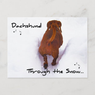 Dachshund Through Snow Dashing Through the Snow Holiday Postcard