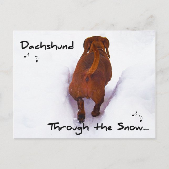 Dachshund Through Snow Dashing Through the Snow Holiday Postcard (Front)