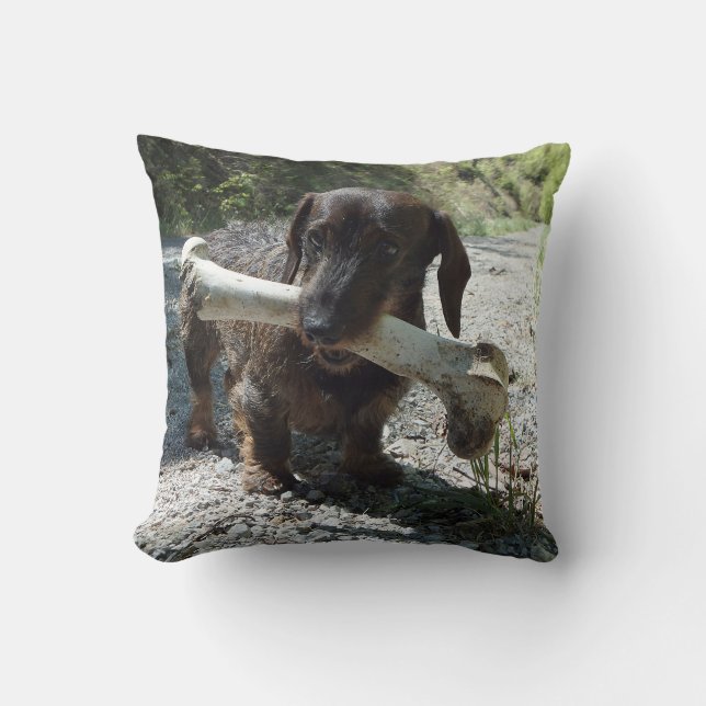 Dachshund Throw Pillow (Front)