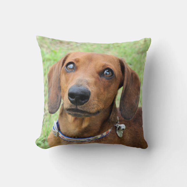 Dachshund Throw Pillow (Front)