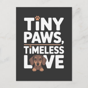 Dachshund Tiny Paws, Timeless Love Holiday Postcard