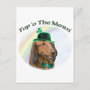 Dachshund Top of the Morn'; Dachshund St. Patrick Postcard