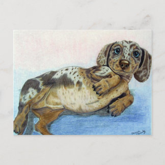 Dachshund Tummy Postcard