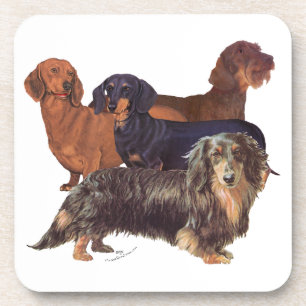 Dachshund Varieties Coaster