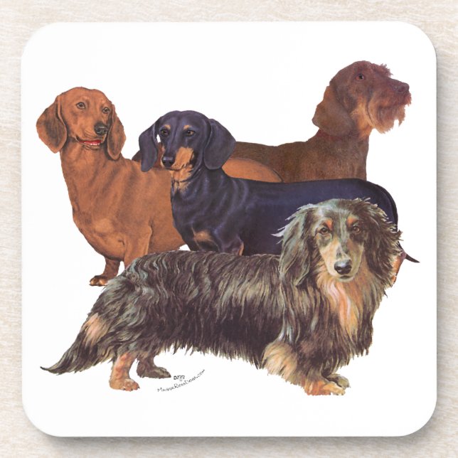 Dachshund Varieties Coaster (Front)
