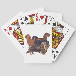 Dachshund Varieties Playing Cards