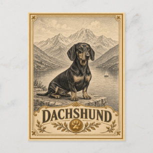 Dachshund, Vintage Heritage Dog Postcard