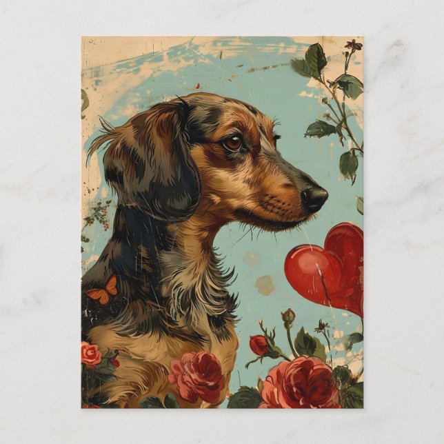 Dachshund Vintage Valentine's day  Postcard (Front)